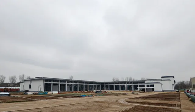 企业战略制定中市场分析的检查要点